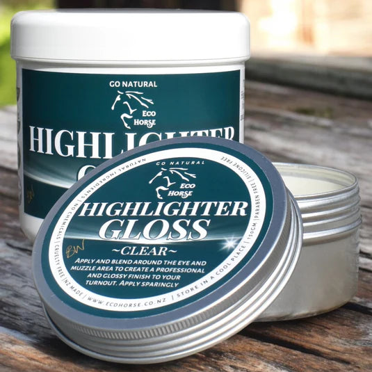 Highlighter Gloss - echohorse