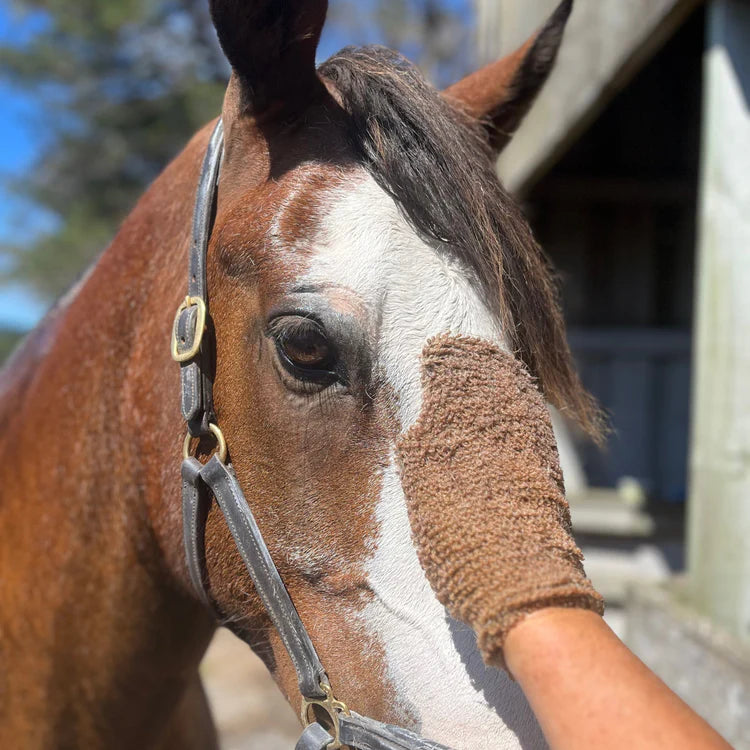 Echo horse Mighty Mitt