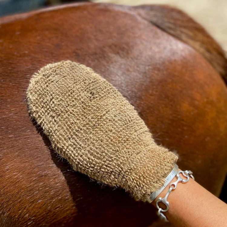 Echo horse Mighty Mitt