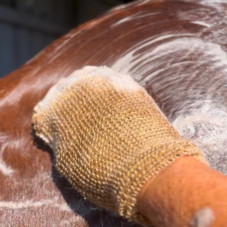 Echo horse Mighty Mitt