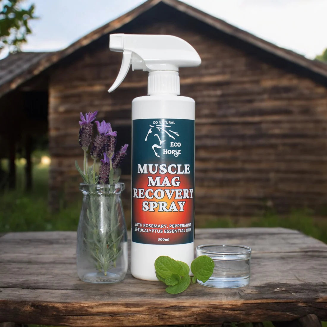 Eco Horse Muscle Mag Recovery Spray – Melwood Equestrian - Saddlery & Feeds