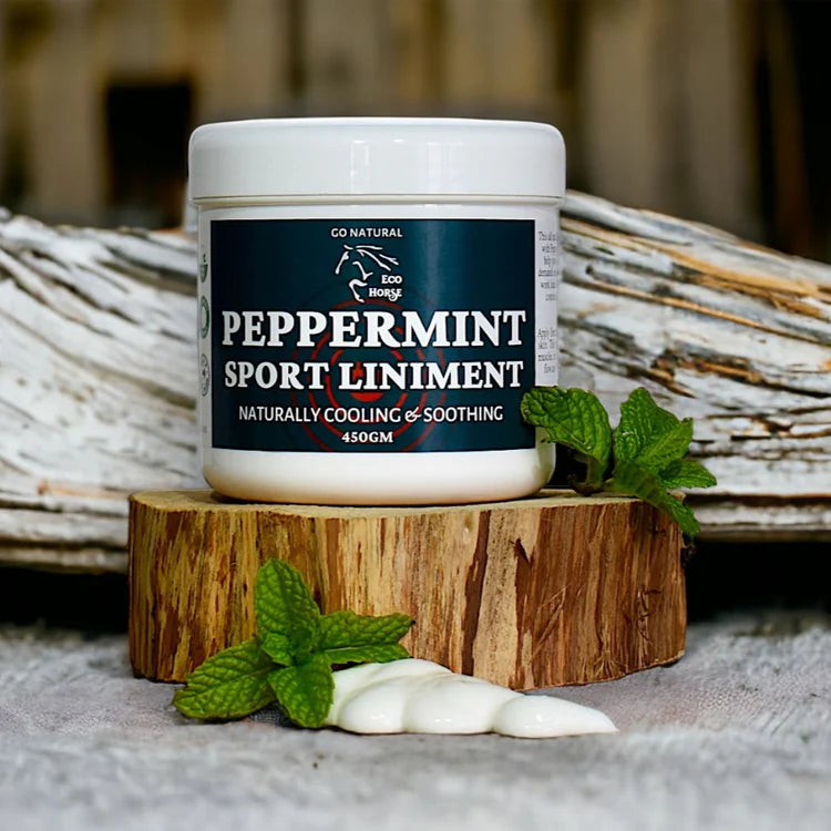 echo horse Peppermint Sport Liniment