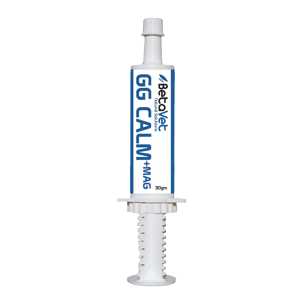 BetaVet GG Calm + Mag - 30g