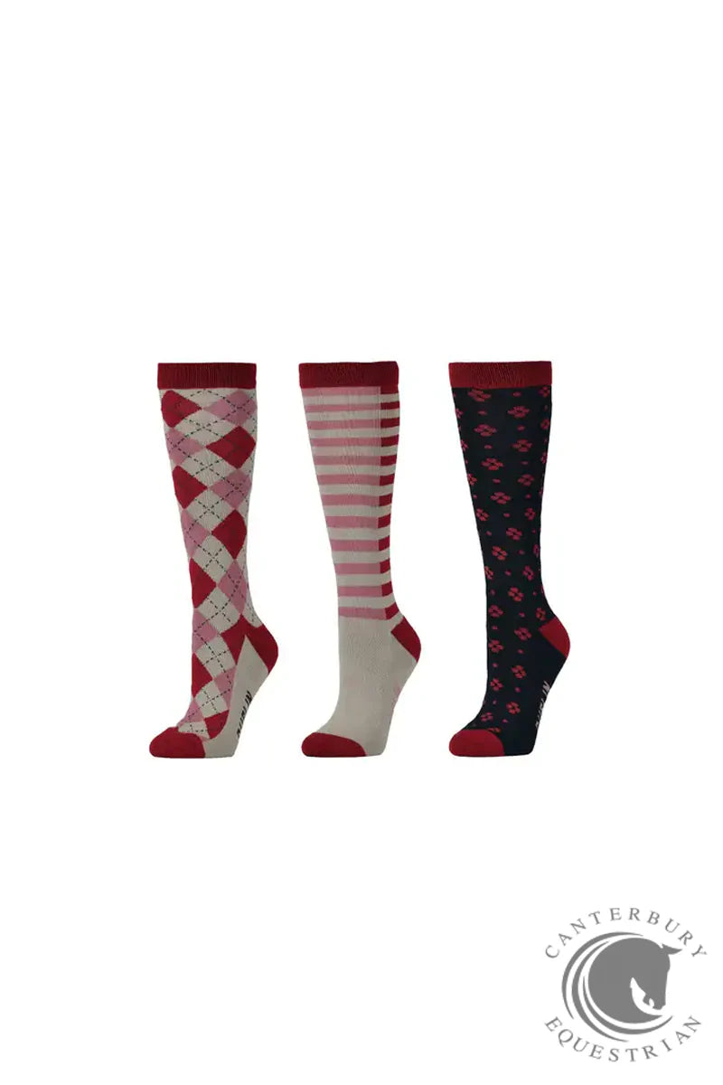 Dublin 3 Pack Socks CABERNET - Adult