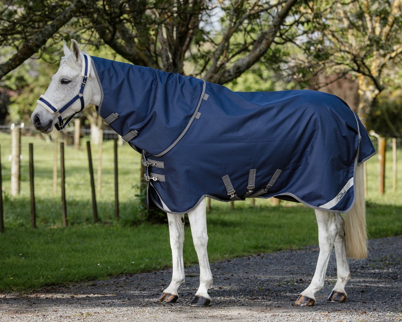 Cavallino Gen 4 Detach A Neck