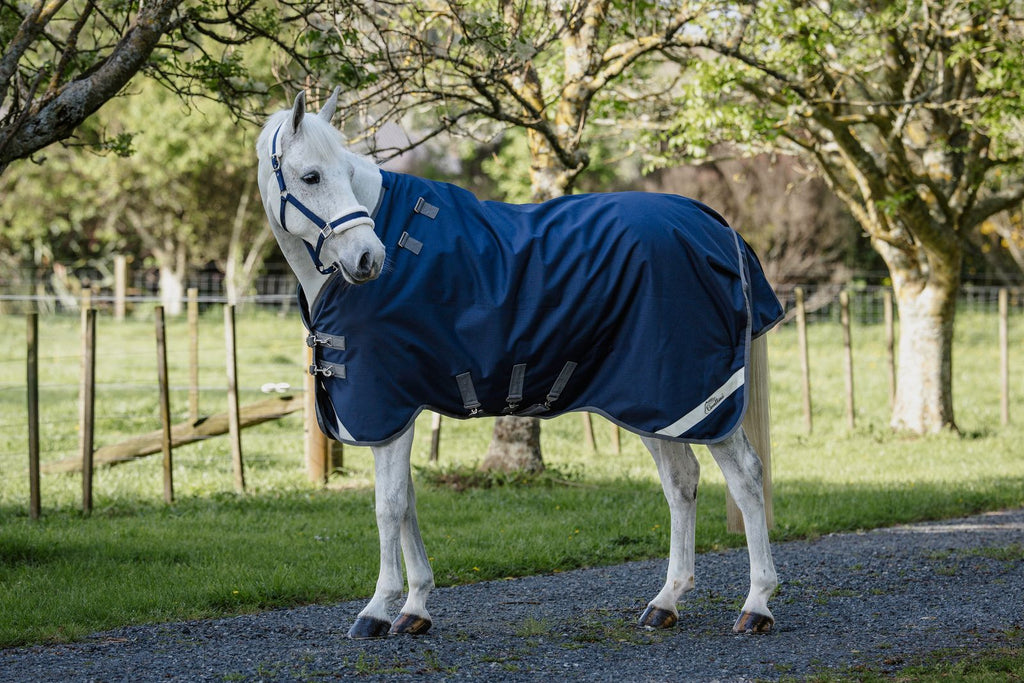 Cavallino Gen 4 Detach A Neck