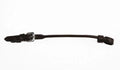 Collegiate Rolled Lip Strap
