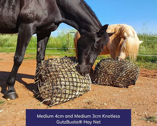 Knotless Hay Nets - Medium
