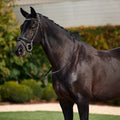 Dublin padded Comfort Crown Patent Flash bridle