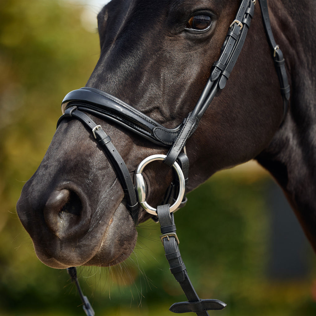 Dublin padded Comfort Crown Patent Flash bridle