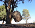 Knotless Hay Nets - Small  40mm