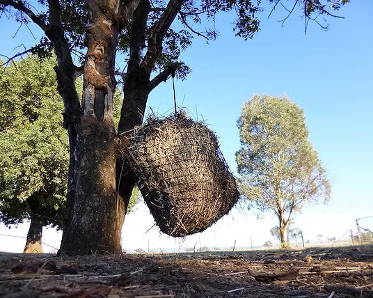 Knotless Hay Nets - Small  40mm