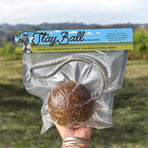 Stay Ball Health Horse