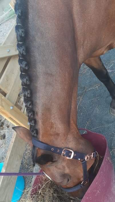 Stick It! - plaiting aid
