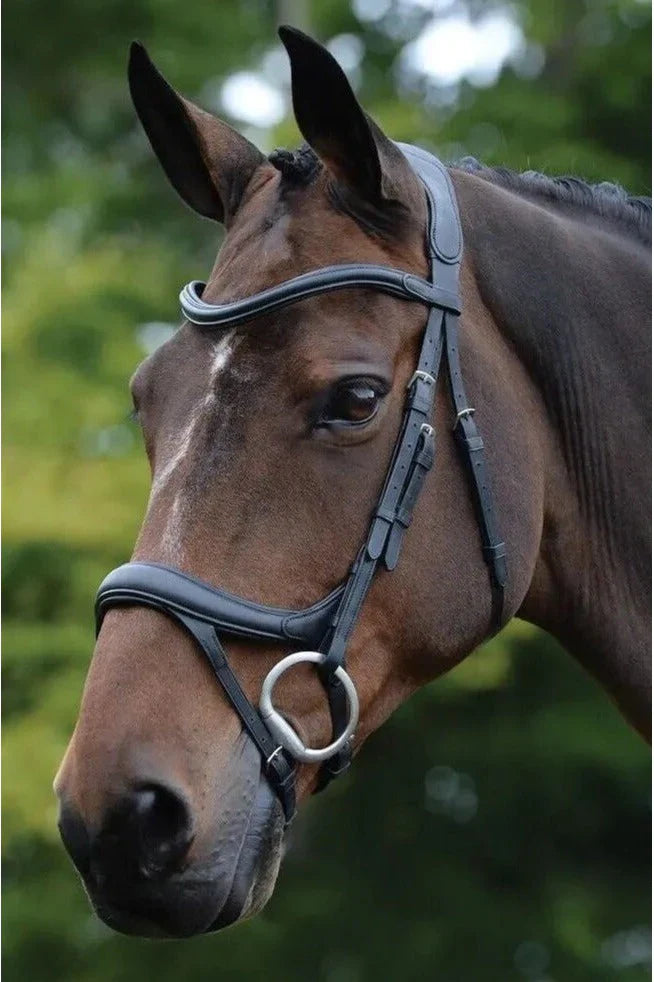 Collegiate Comfitec Vogue Anatomical Bridle