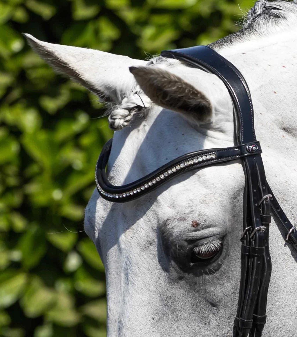 Abriano Anatomic Double Bridle